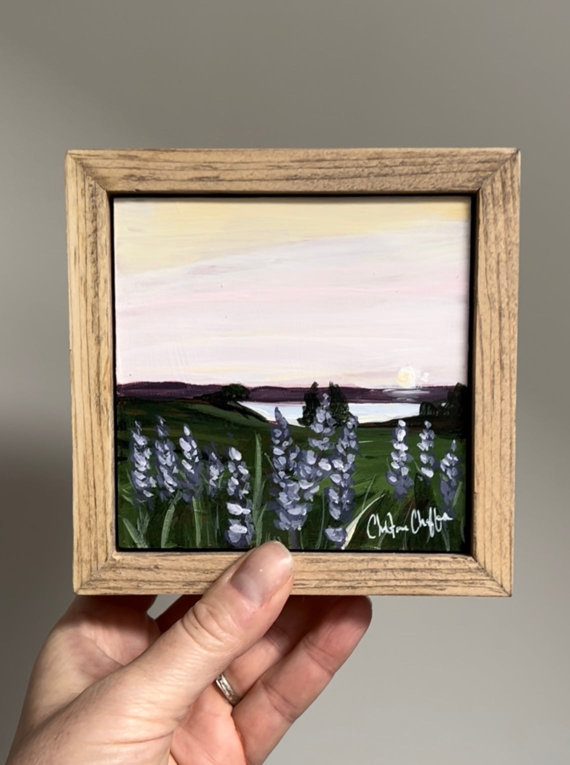 Lupines at Mitchell Field, two, Original