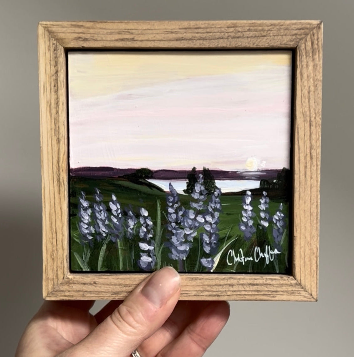 Lupines at Mitchell Field, two, Original 4x4