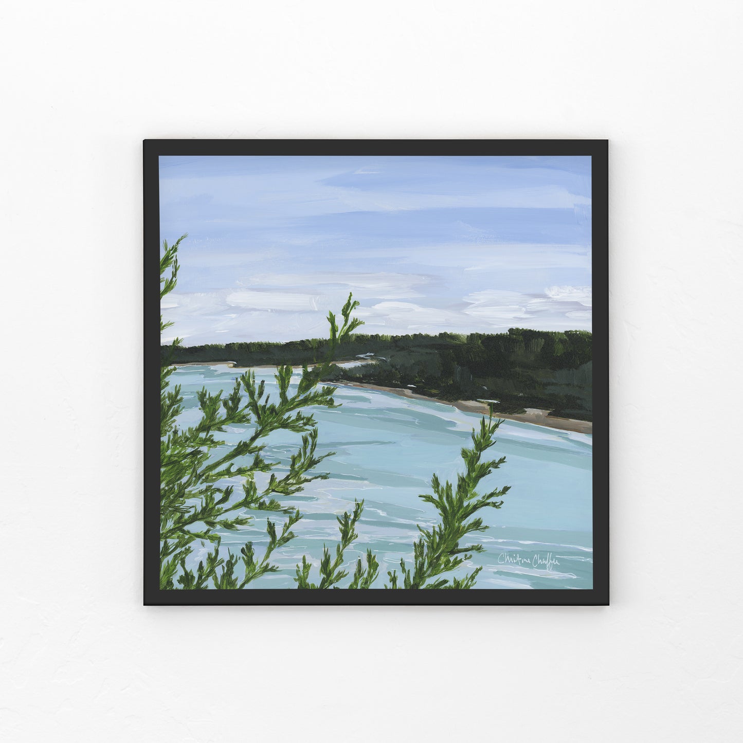 Cliff Trail Overlook-Canvas Print