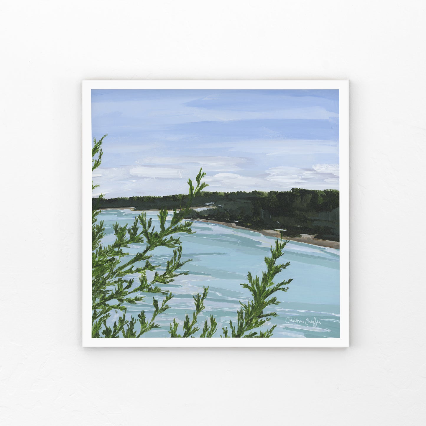 Cliff Trail Overlook-Canvas Print