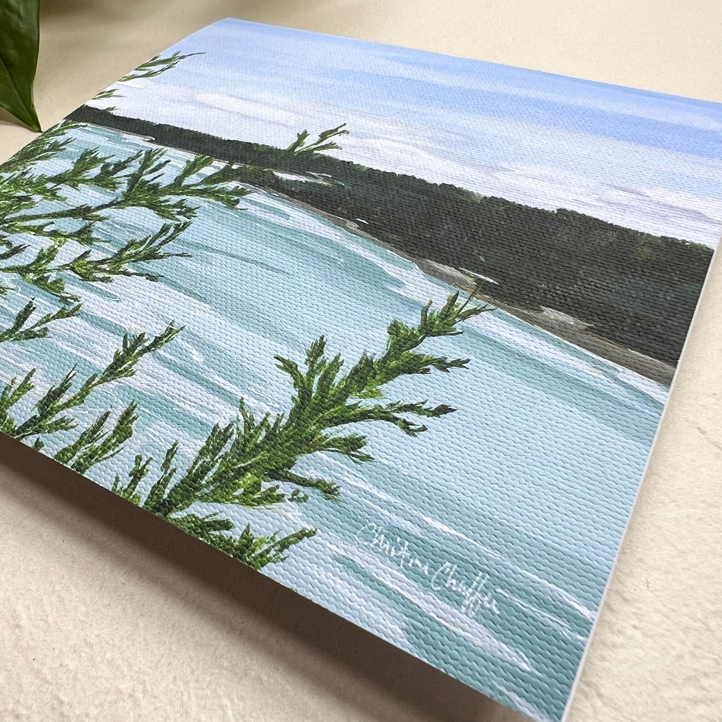 Cliff Trail Overlook-Canvas Print