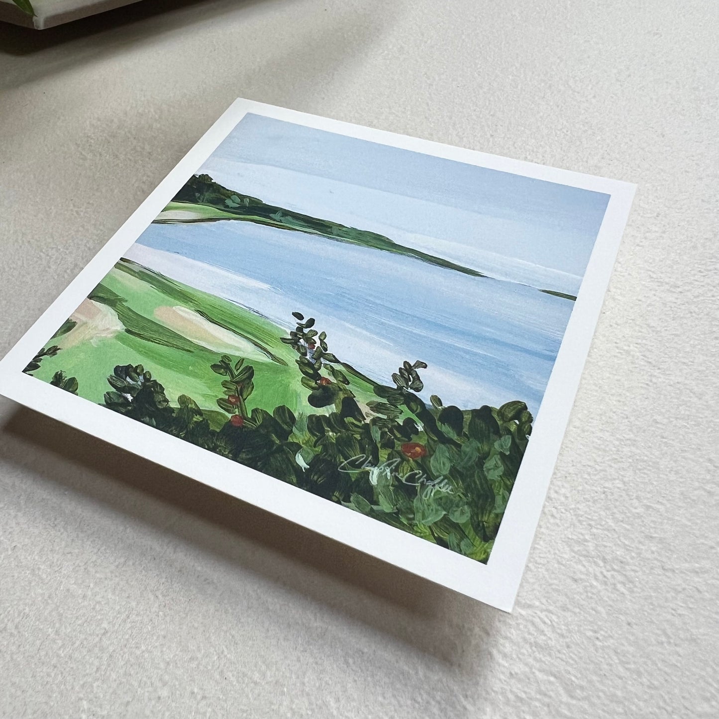 Widgeon Cove - Studio Print