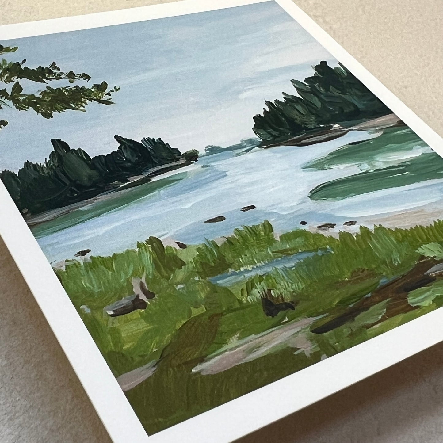 Anna M Tondreau - Studio Print