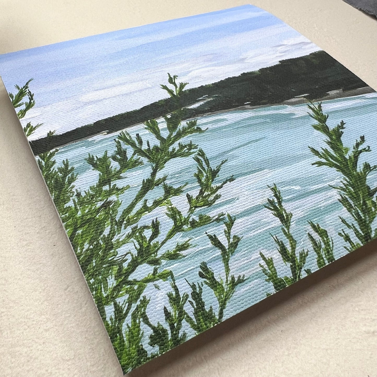 Cliff Trail Overlook-Canvas Print