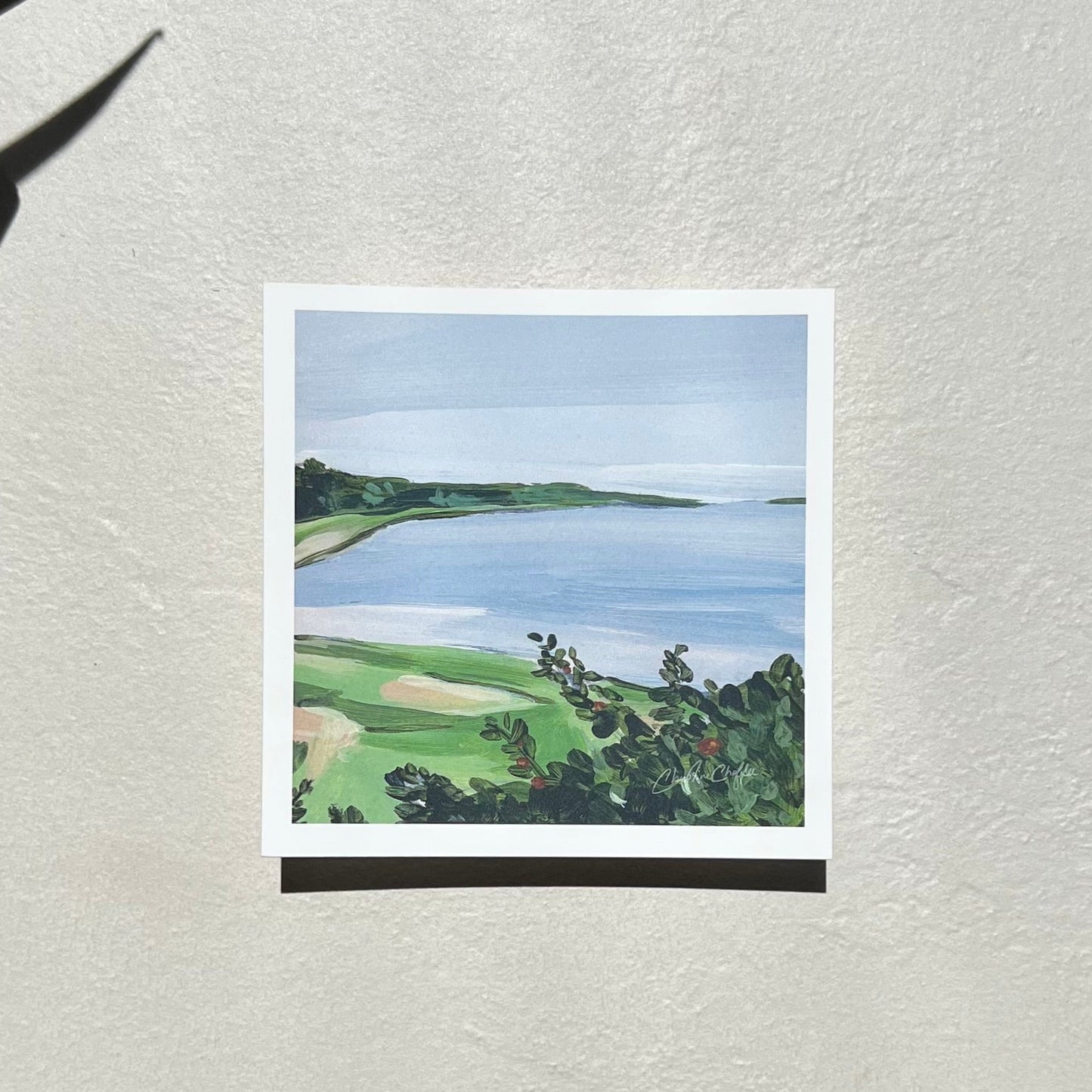 Widgeon Cove - Studio Print