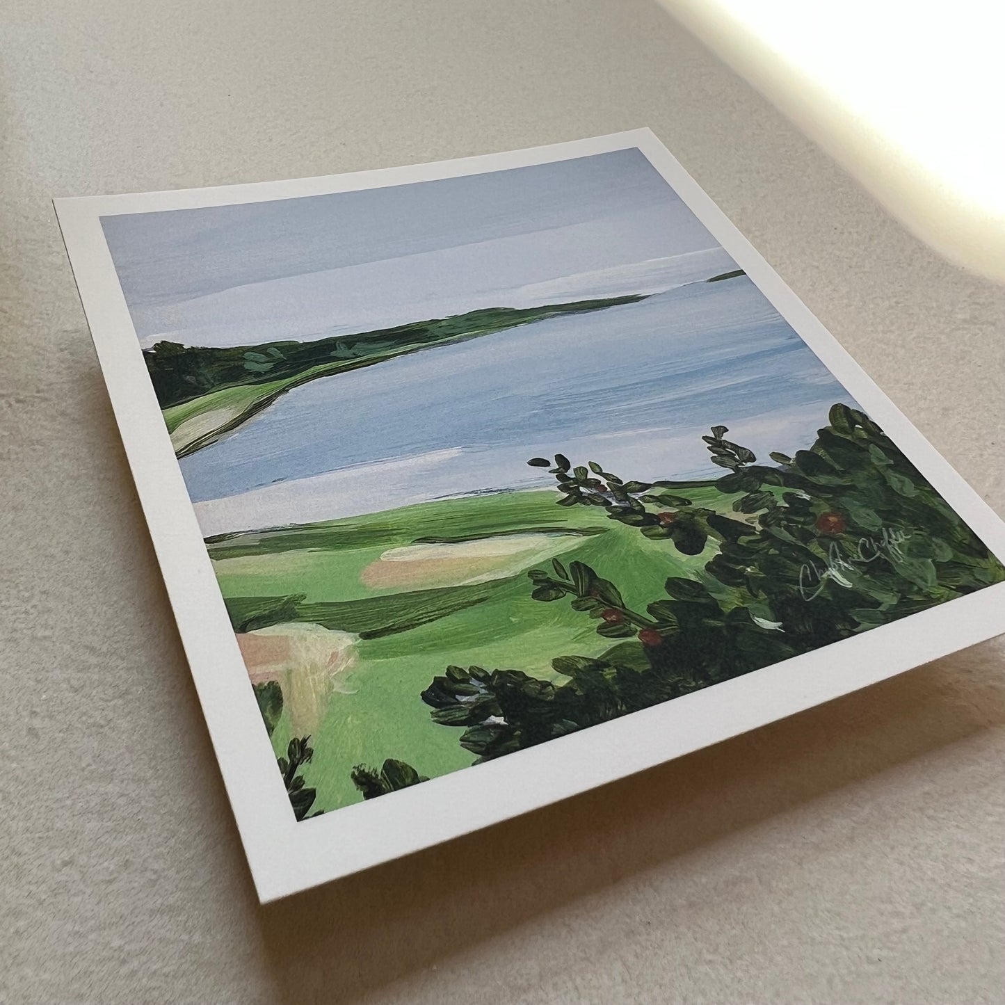 Widgeon Cove - Studio Print