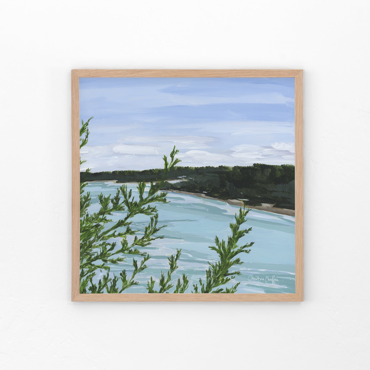 Cliff Trail Overlook-Canvas Print