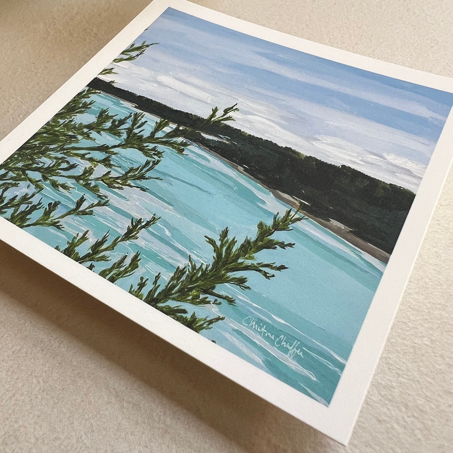 Cliff Trail Overlook - Studio Print