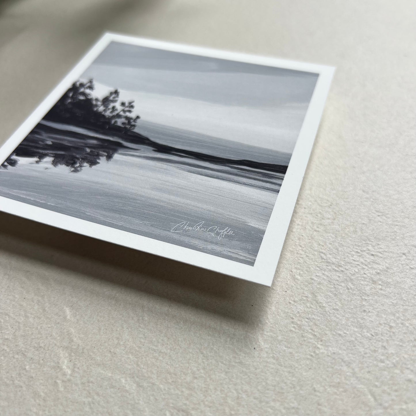 Schiller Coastal Studies B&W - Studio Print
