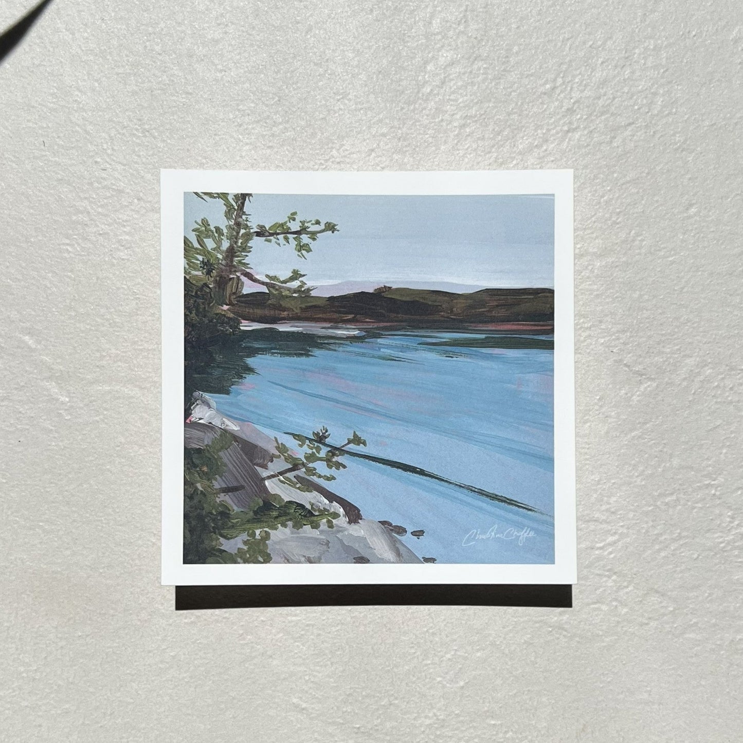 Wilson's Cove - Studio Print
